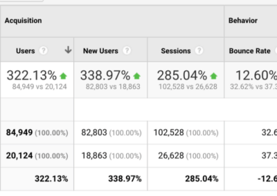 300% Organic Traffic Growth in 1 Year